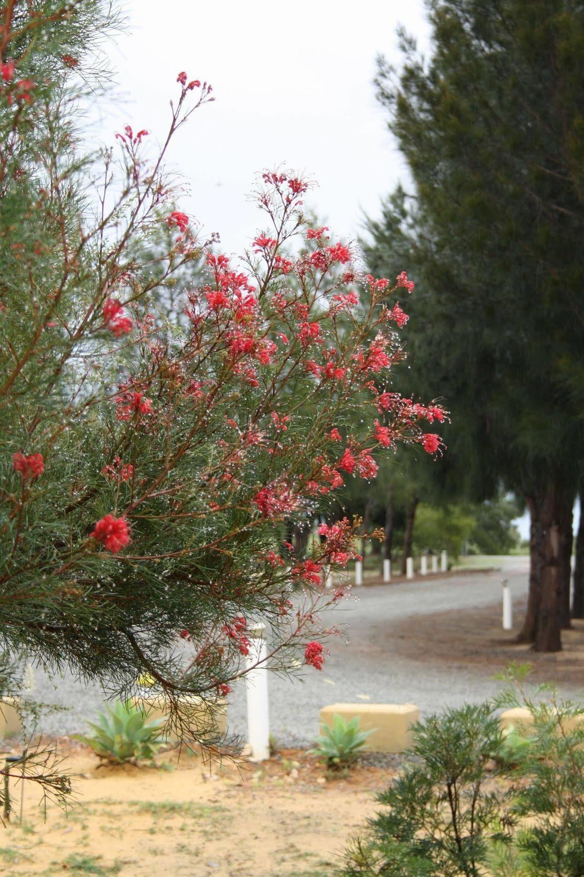 The Heights Bed & Breakfast Bed and Breakfast Jurien Bay Esterno foto